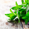 Mint extract - Bronhocyn Composition 